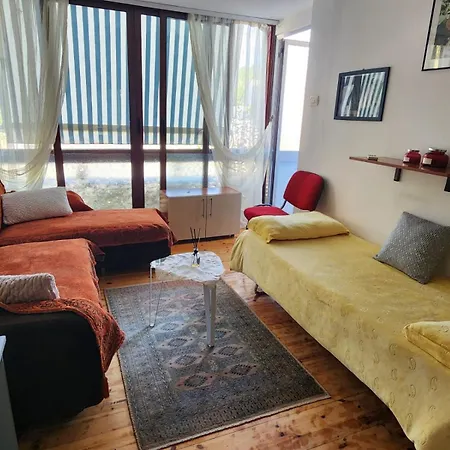 Area * Tirana